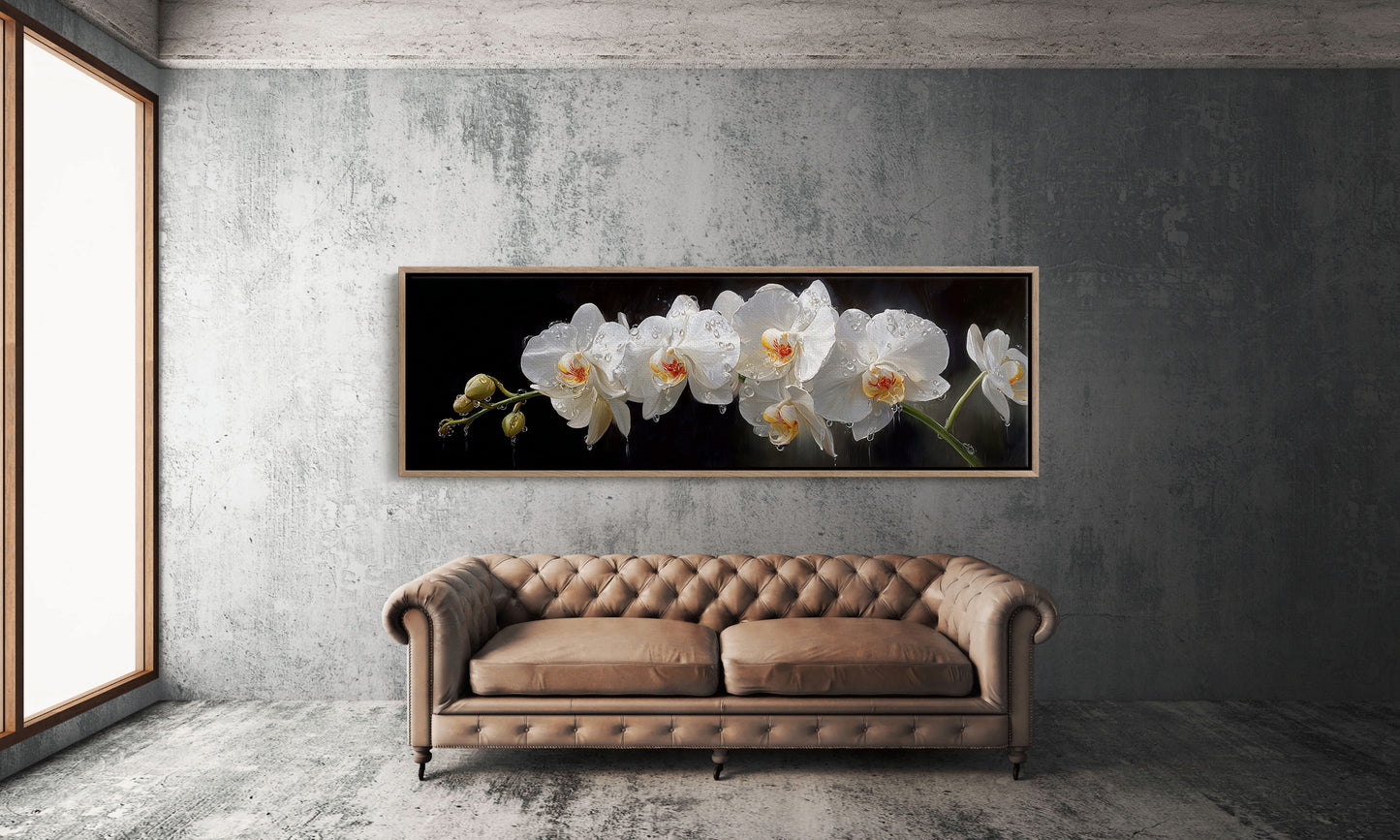 White Orchids In Midnight Bloom
