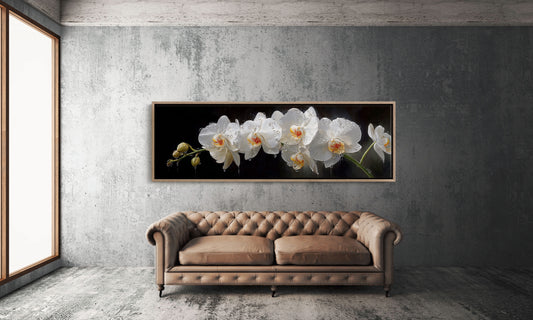 White Orchids In Midnight Bloom