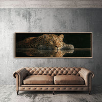 Resting Leopard Reflection