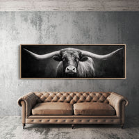 Black and White Longhorn Portrait on Dark Background