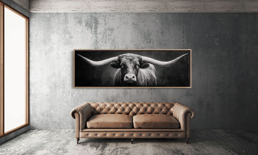 Black and White Longhorn Portrait on Dark Background