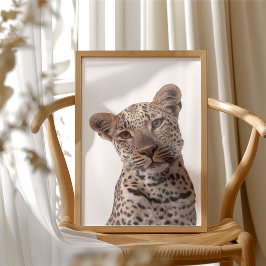 Leopard's Quiet Curiosity