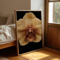 Dew-Kissed Orchid Bloom