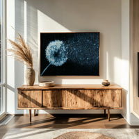 Dandelion Becomes Stardust