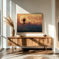 Dandelion Ablaze at Dusk
