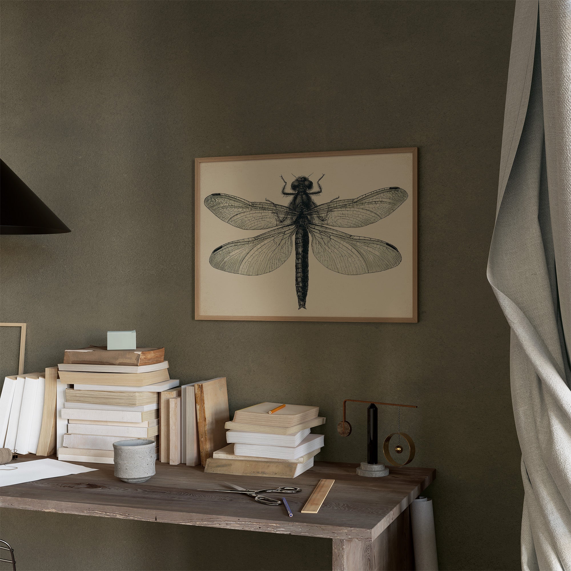Dragonfly Anatomy Study