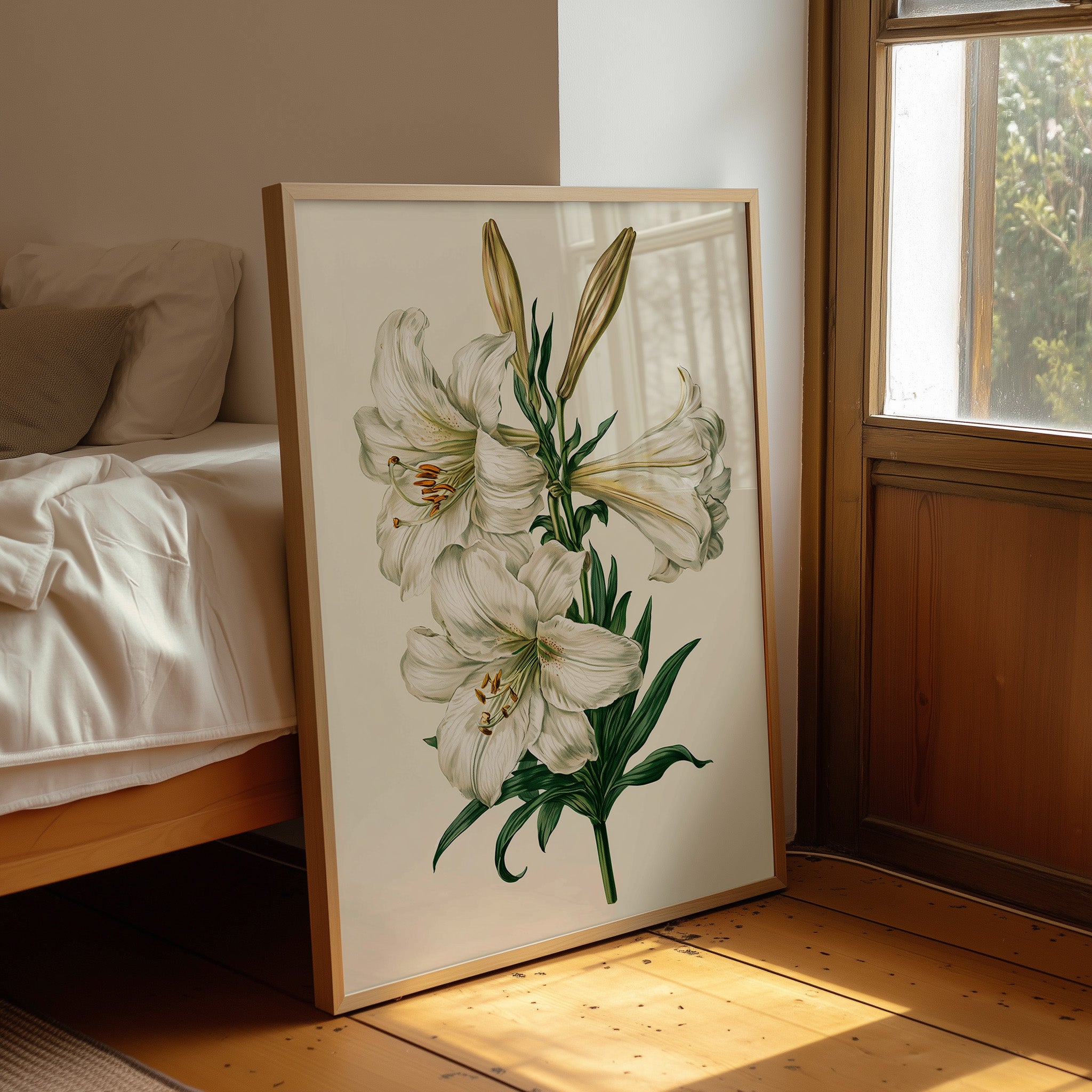 Trumpet of Spring: White Lily Study