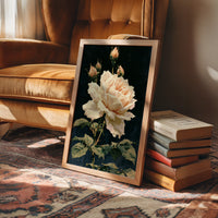 Peach Rose in Midnight