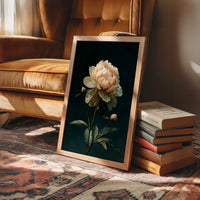 Ivory Peony, Dutch Master Mood
