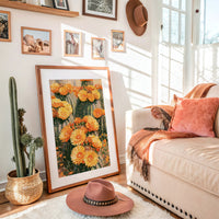 Blooming Barrel Cactus Flowers