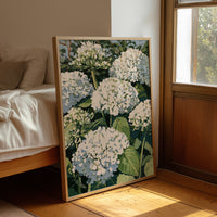 Hydrangea Garden In Full Bloom