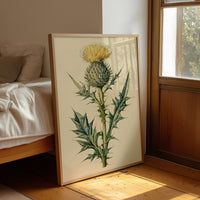 Thistle In Fine Botanical Detail