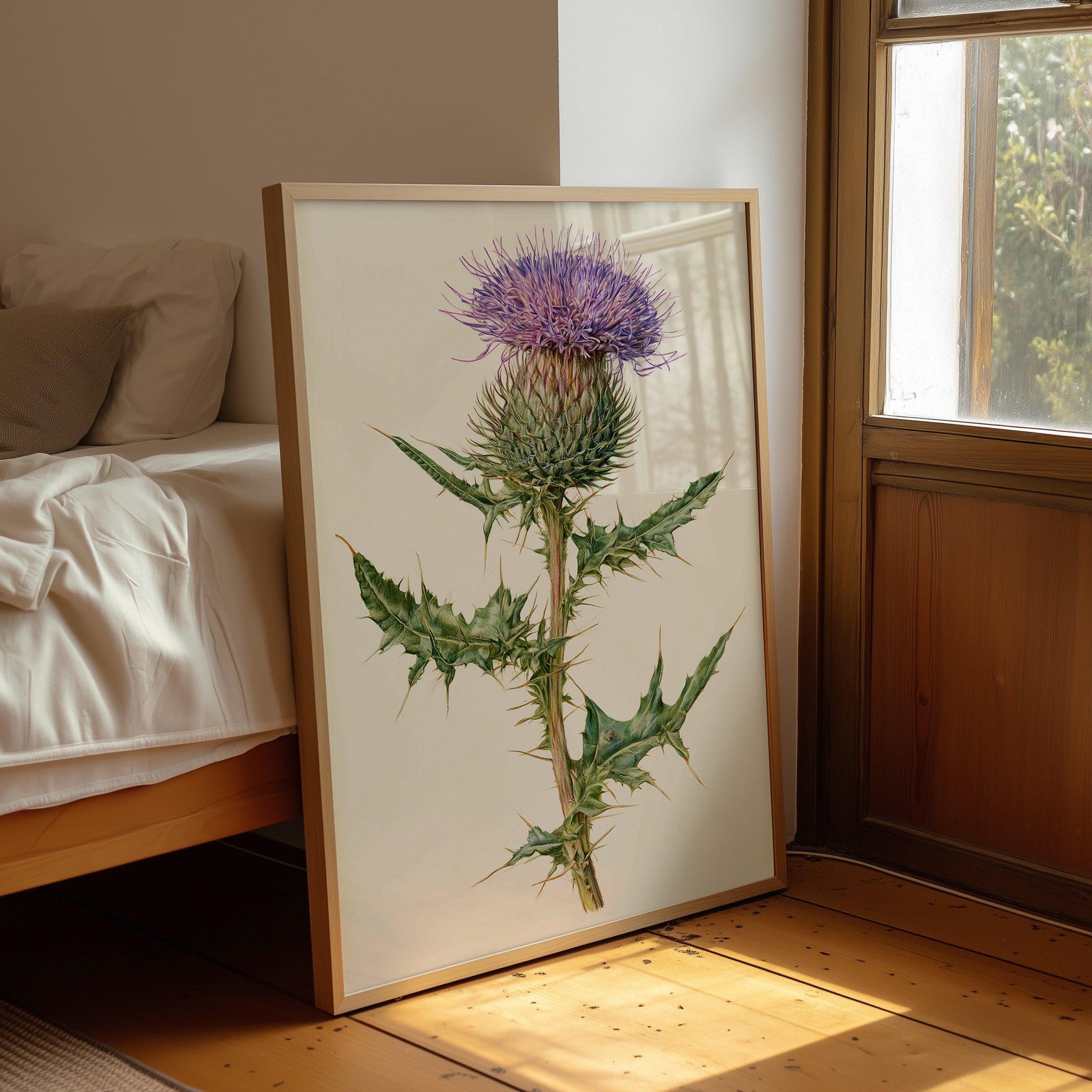 Purple Thistle In Fine Detail