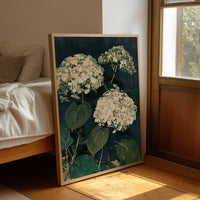 Hydrangeas After Dusk