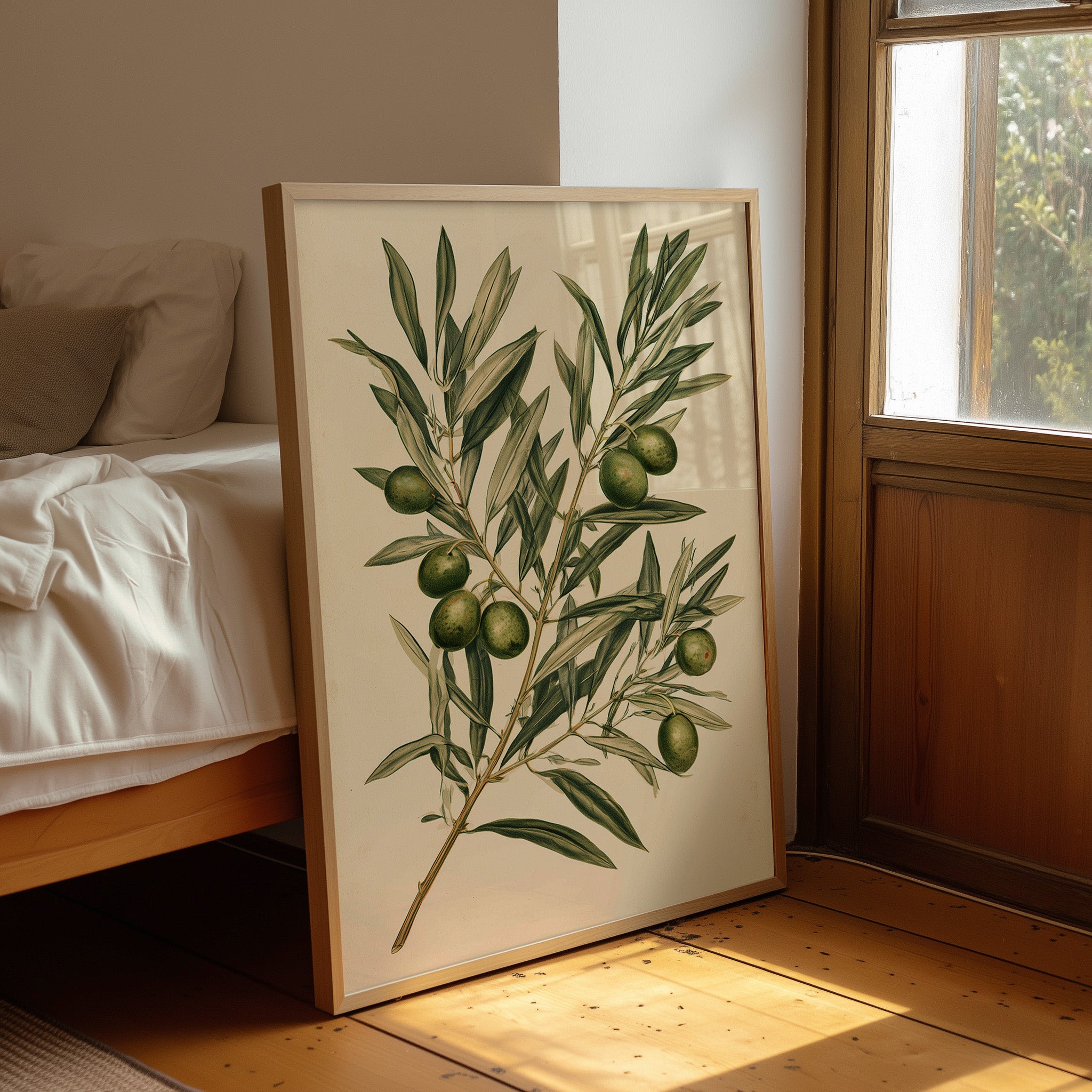 Olive Branch Botanical Study