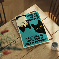 Two Cats, Zero Boundaries