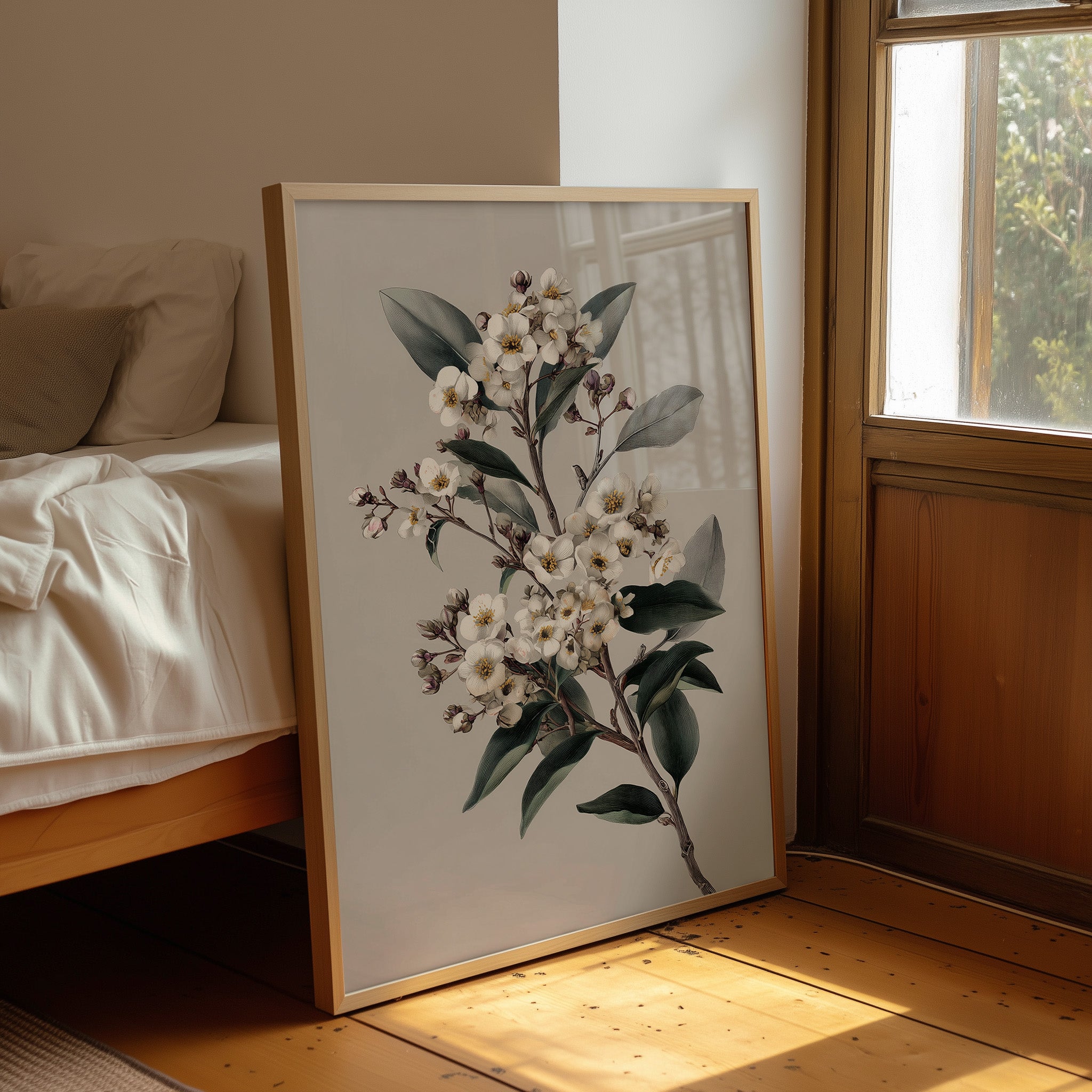 Ivory Blossoms On Quiet Branch