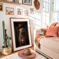 The Framed Frontier