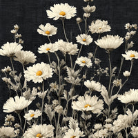 Daisies After Midnight