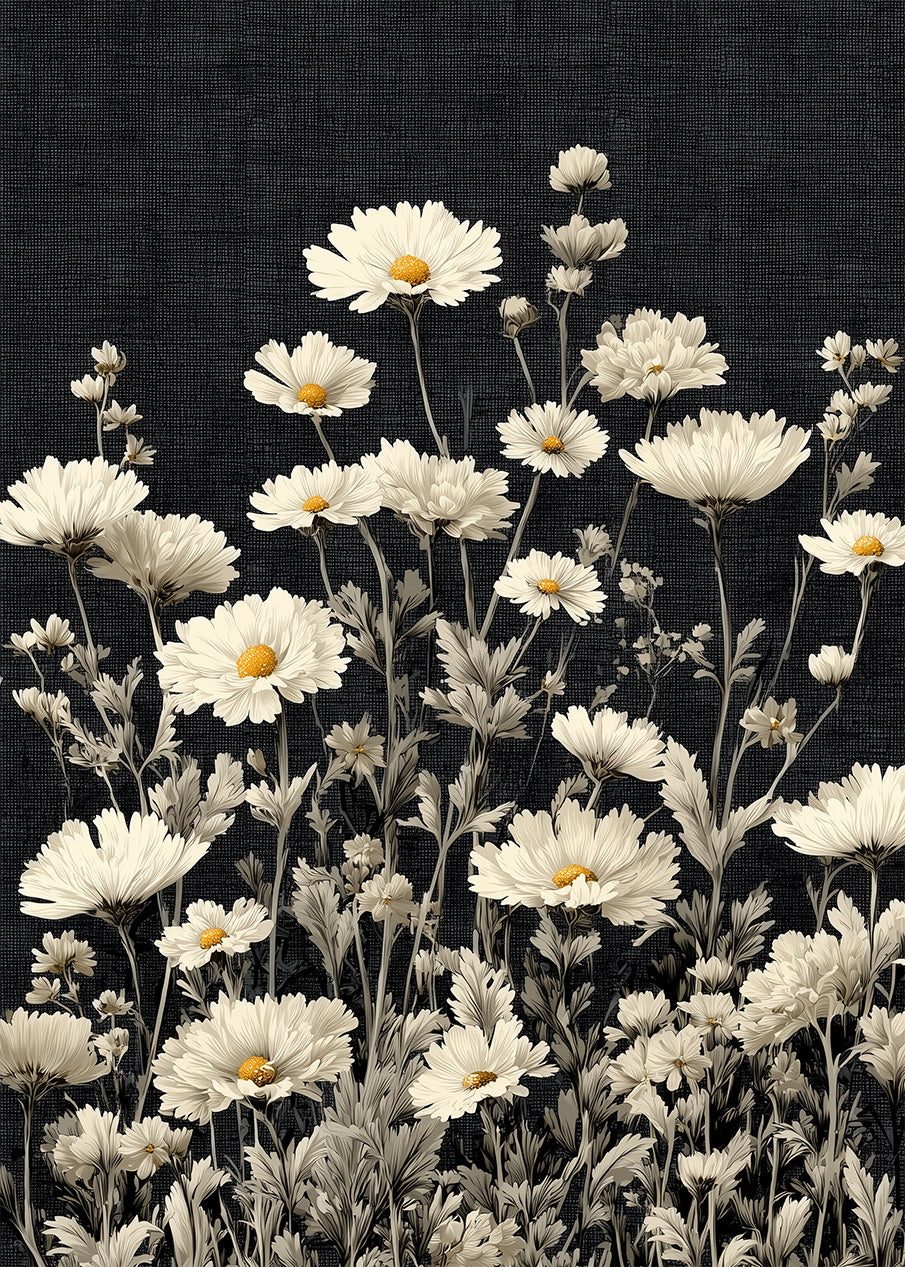 Daisies After Midnight
