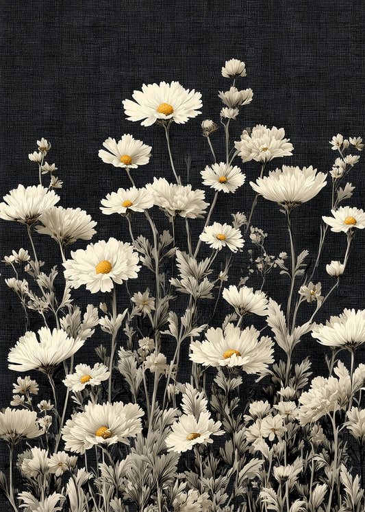 Daisies After Midnight
