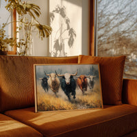 Longhorns, Short Patience