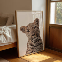 Leopard's Quiet Curiosity