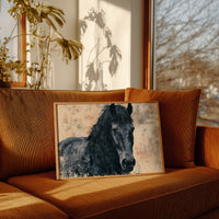 Midnight Mane, Quiet Gaze