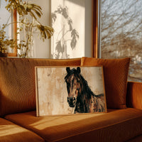 Bay Coat, Bold Strokes