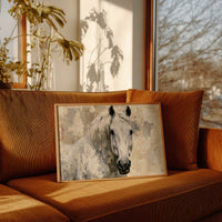 White Horse, Quiet Frost