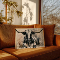 Longhorn in Black and White