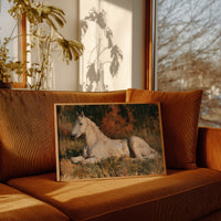 Resting In The Amber Light