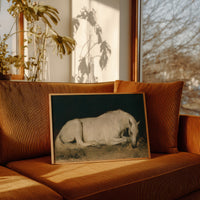 White Horse, Dark Ground