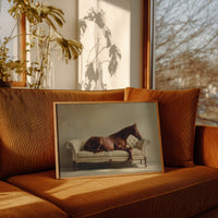Chestnut in Quiet Repose