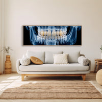 Dental X Ray Close Up