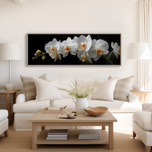 White Orchids In Midnight Bloom