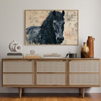Midnight Mane, Quiet Gaze