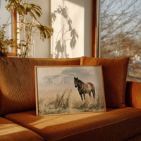 Horse and the Old Homestead