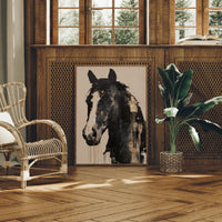 Black Horse, Raw Canvas, No Apologies