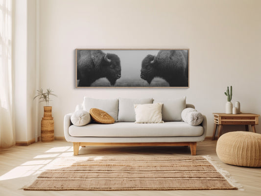 Silent Strength Of The American Bison