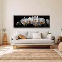 White Orchids In Midnight Bloom