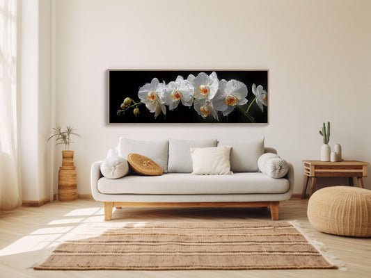 White Orchids In Midnight Bloom