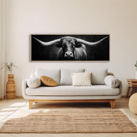 Black and White Longhorn Portrait on Dark Background