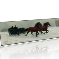 Gallop Through Winter Fields
