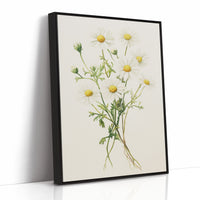 AL0084 - Premium Art Print - Black Framed Canvas image 1
