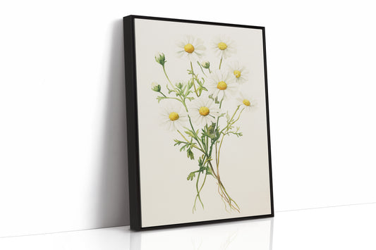 AL0084 - Premium Art Print - Black Framed Canvas image 1