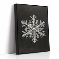 AL0269 - Premium Art Print - Black Framed Canvas image 1