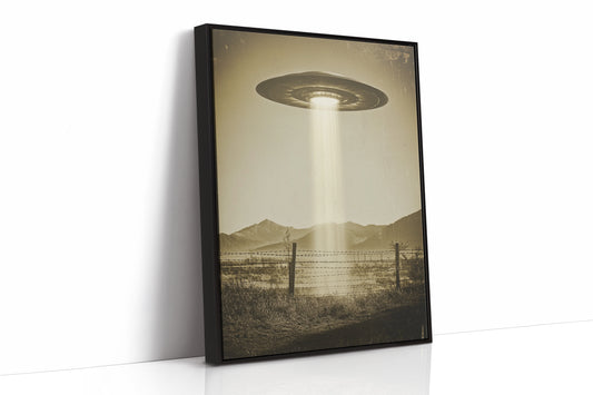AL0775 - Premium Art Print - Black Framed Canvas image 1