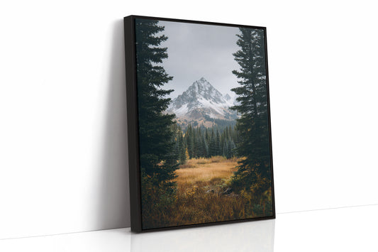 AL1865 - Premium Art Print - Black Framed Canvas image 1