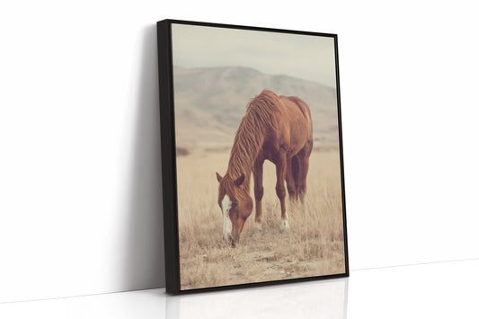 AL1820 - Premium Art Print - Black Framed Canvas image 1